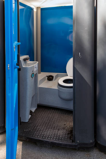 Best Sanitation services for porta potties  in Palos Heights, IL